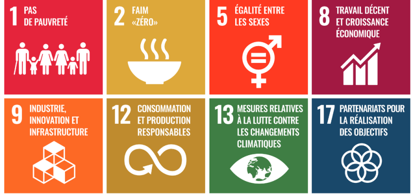 SDG goals french