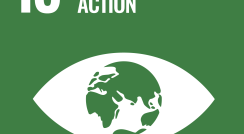 SDG13