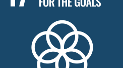 SDG17